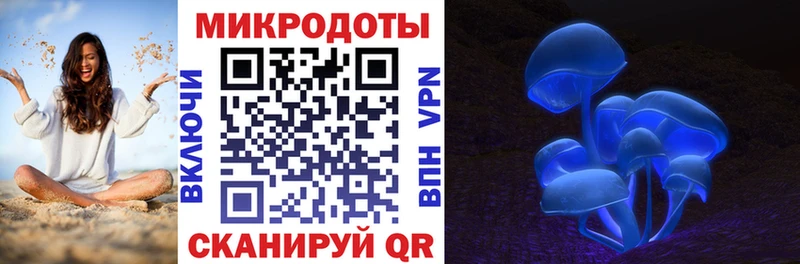 KRAKEN ссылки  Вяземский  Псилоцибиновые грибы Magic Shrooms 